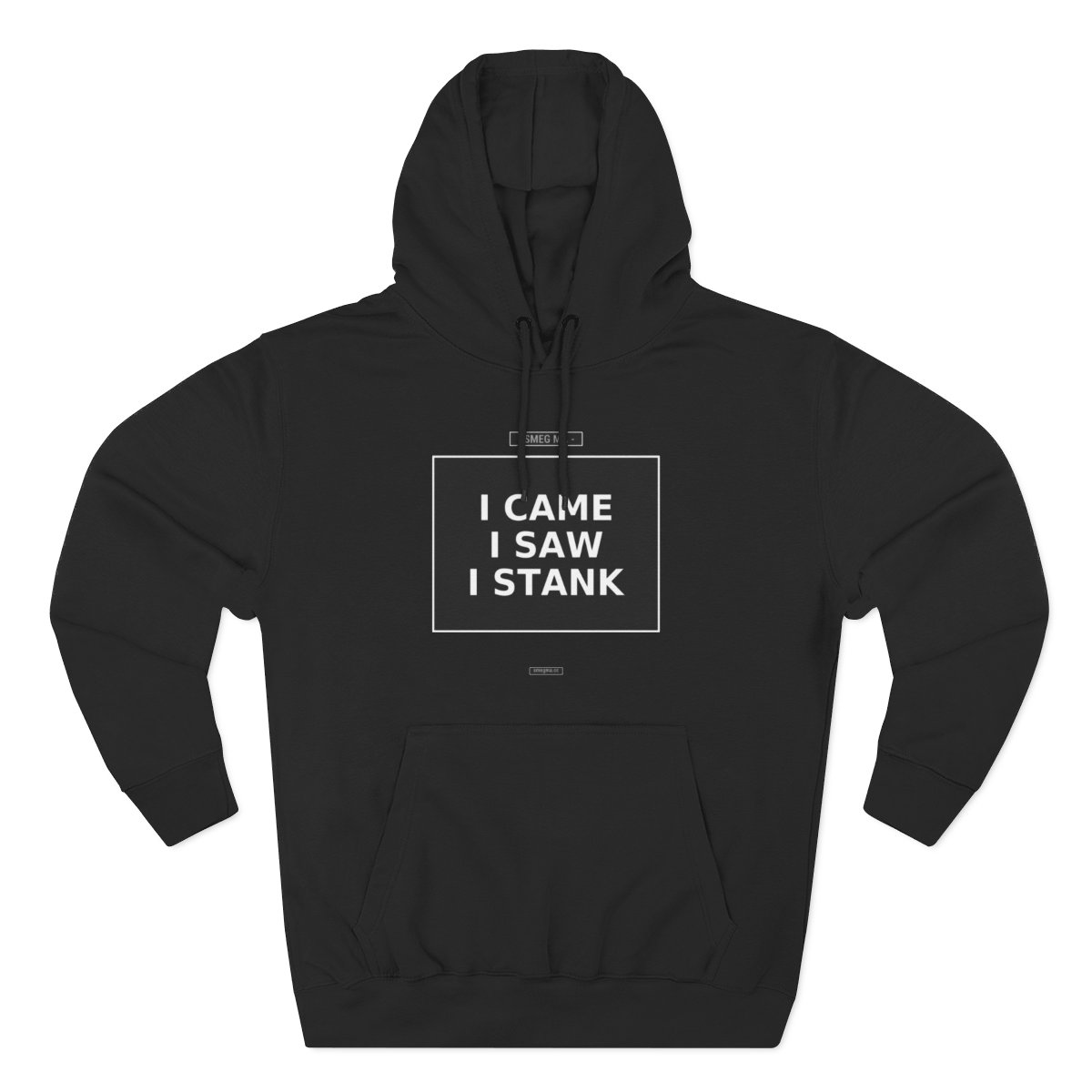 I CAME I SAW I STANK Hoodie